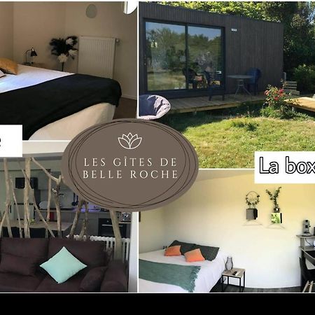 Les Gites De Belle Roche Mâcon Zewnętrze zdjęcie